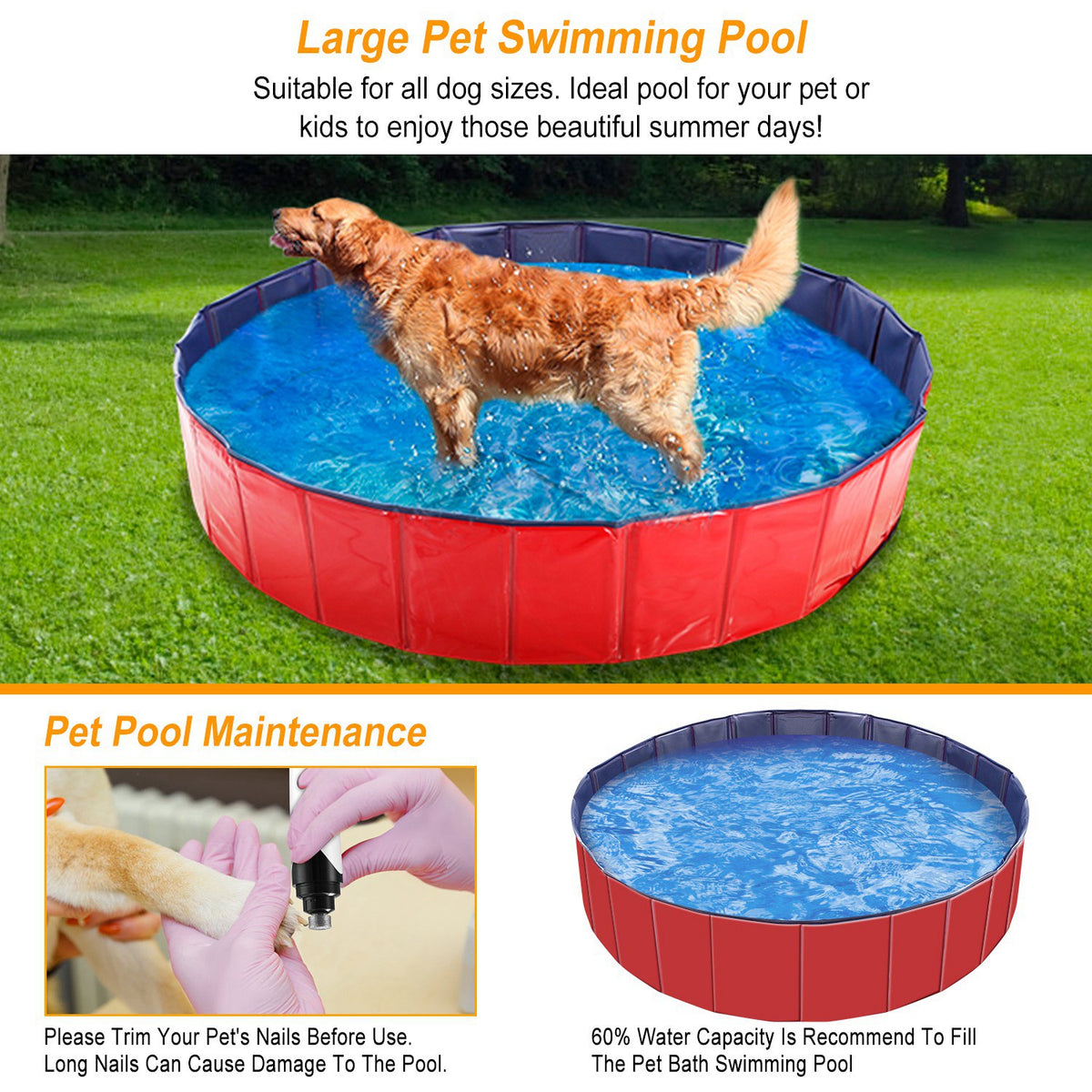 AquaGo Foldable Pet Swimming Pool (Pet Swimming Pools) - product in use demonstration scene