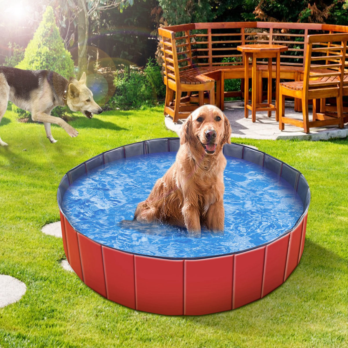 AquaGo Foldable Pet Swimming Pool (Pet Swimming Pools) - product color and finish variation