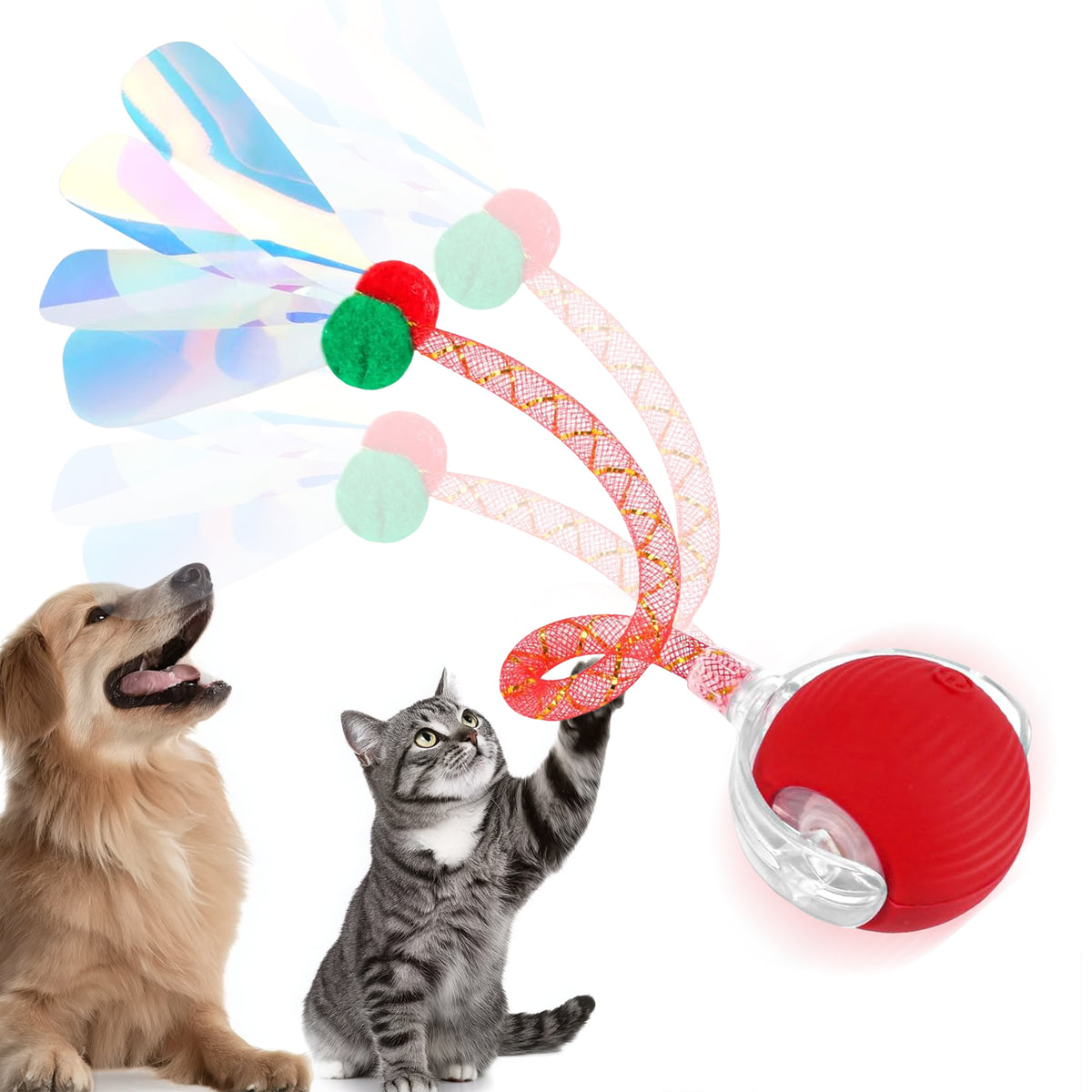 Cat chasing LaserPlay Pro LED interactive toy ball across the floor