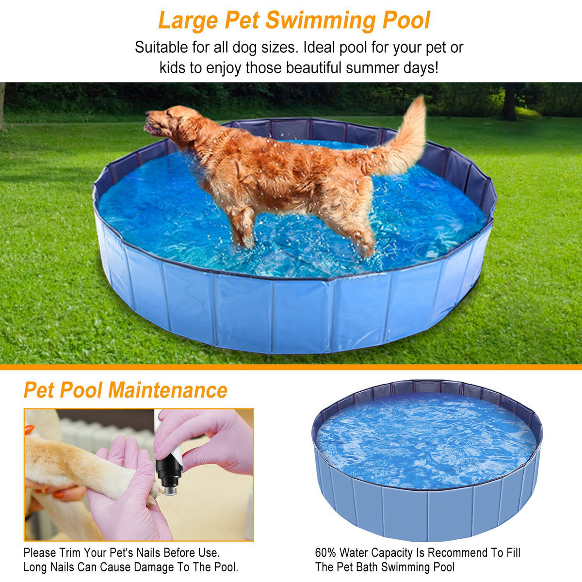 AquaGo Foldable Pet Swimming Pool (Pet Swimming Pools) - additional angle view for detailed inspection