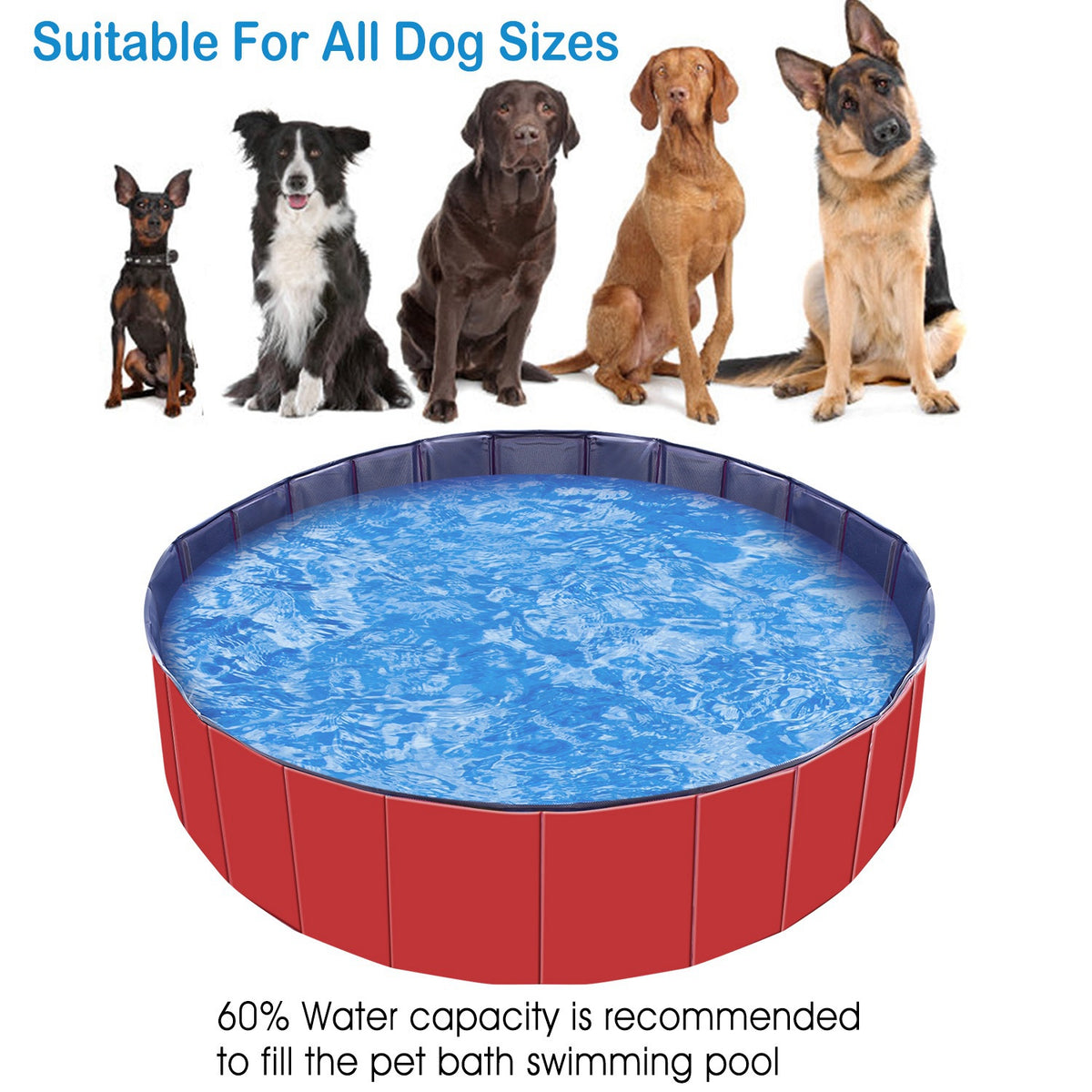 AquaGo Foldable Pet Swimming Pool (Pet Swimming Pools) - additional product view 11