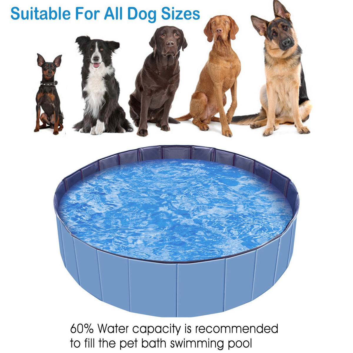 AquaGo Foldable Pet Swimming Pool (Pet Swimming Pools) - technical specification and safety certification detail